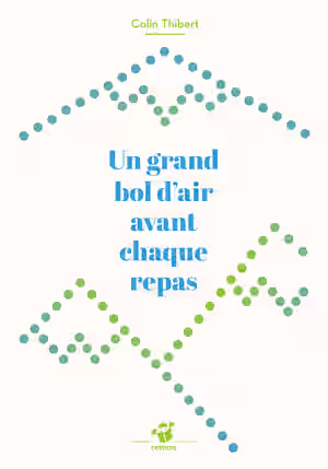 UN-GRAND-BOL-D'AIR_cv.jpg
